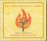 Corul Bărbătesc Laudă Mielului - Ești Necuprins Și Sf&acirc;nt (CD, Not On Label, Stare Foarte Buna)