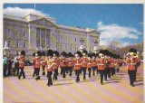 bnk cp Militare - Anglia - Schimbarea garzii la Palatul Buckingham