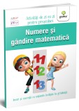 Cumpara ieftin Numere Si Gandire Matematica 5-6 Ani, - Editura Gama