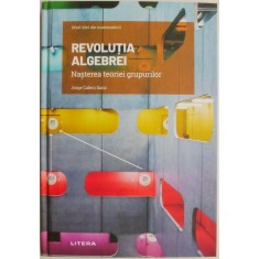 Revolutia algebrei. Nsterea teoriei grupurilor &ndash; Jorge Calero Sanz