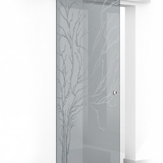 Usa culisanta Boss ® model Tree incolor, 90x215 cm, sticla gri 8 mm, glisanta in ambele directii