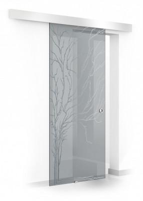 Usa culisanta Boss &amp;reg; model Tree incolor, 80x215 cm, sticla gri 8 mm, glisanta in ambele directii foto