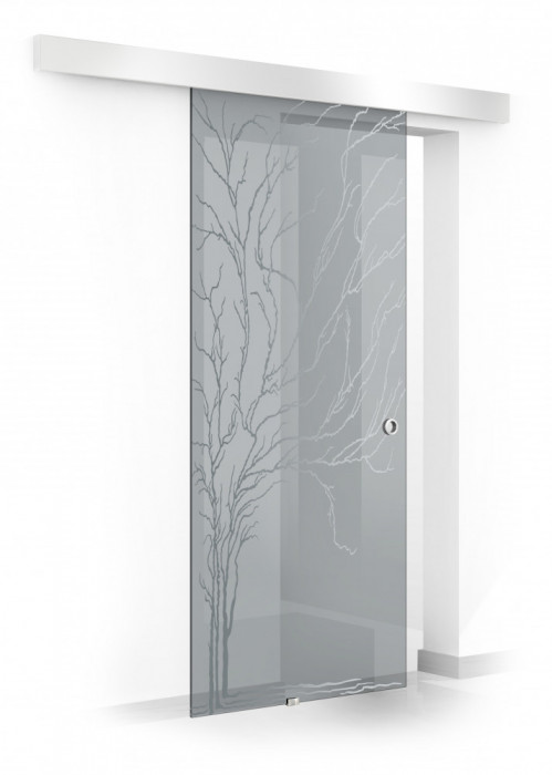 Usa culisanta Boss &reg; model Tree incolor, 60x215 cm, sticla gri 8 mm, glisanta in ambele directii