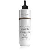 FarmaVita Amethyste Instant Colouring Fluid mască colorantă pro studen&eacute; odst&iacute;ny hněd&eacute; culoare Cool Brown 250 ml