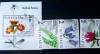 SLOVENIA 2024 flori plante flora serie+ bloc nestampilata MNH, Nestampilat