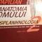 Victor papilian,anatomia omului, splanhologie,vol 2,Ed xii. 0182