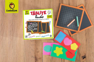 Joc Montessori Tablitele Ludo, exersare a manualitatii, Ludattica, 2-3 ani + foto