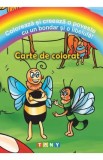 Coloreaza si creeaza o poveste cu un bondar si o libelula! Carte de colorat