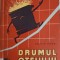DRUMUL OTELULUI-COSTIN MANDI-253892
