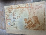 Povești despre copilărie vintage