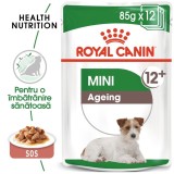 Royal Canin Mini Ageing 12+ hrana umeda caine senior (in sos), 1 plic 85 g