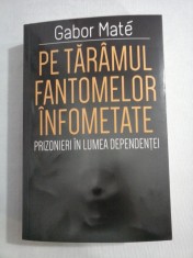 PE TARAMUL FANTOMELOR INFOMETATE - Gabor MATE foto