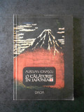 AURELIAN IONASCU - O CALATORIE IN JAPONIA, Alta editura