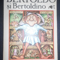 Bertoldo si Bertoldino. Poveste populara italiana (1984)