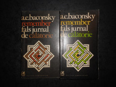 A. E. BACONSKY - REMEMBER. FALS JURNAL DE CALATORIE 2 volume foto