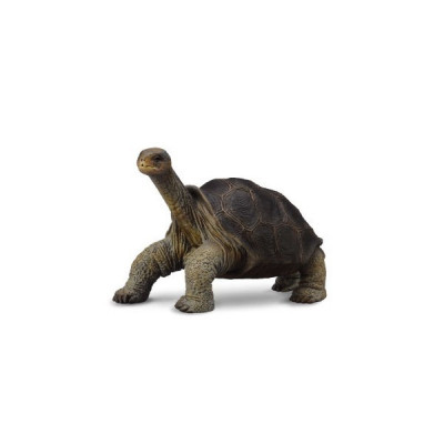 Figurina Broasca Testoasa din Pinta Island M Collecta, 8.1 x 5 cm foto