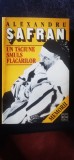 Alexandru Șafran - Un tăciune smuls flăcărilor. Memorii