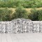 vidaXL Coșuri gabion arcuite 17 buc, 300x30x80/100 cm, fier galvanizat 3146516