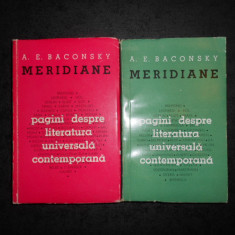 A. E. BACONSKY - MERIDIANE. PAGINI DESPRE LITERATURA UNIVERSALA CONTEMPORANA