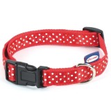 Zgarda fancy &amp; buline 10 mm/20-31 cm red