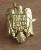 QW14 - Emblema militara / cuc - uscat - piesa de colectie