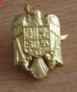 QW14 - Emblema militara / cuc - uscat - piesa de colectie foto