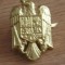 QW14 - Emblema militara / cuc - uscat - piesa de colectie