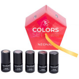 Cumpara ieftin NeoNail XMAS Set Colors Set set cadou (pentru unghii)