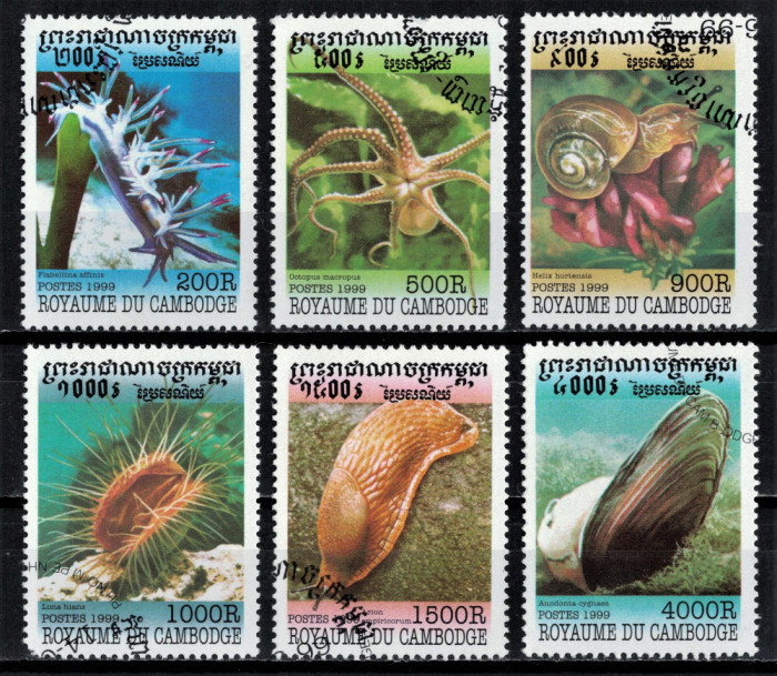 CAMBODGIA 1999 - Fauna, Moluste / serie completa