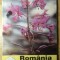 ROMANIA APICOLA. NR.8, AUGUST 2002-COLECTIV-235028