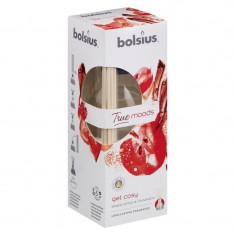 Odorizant difuzor cu betisoare pentru casa true bolsius - get cosy mar copt si scortisoara 45ml