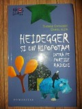 Heidegger si un hipopotam intra pe portile raiului- Thomas Cathcart, Daniel Klein