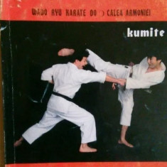 Cezar CRISTEA - wado ryu karate do - calea armoniei - kumite (1998)