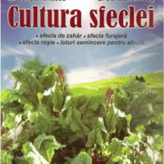 Cultura sfeclei | Marius Constantinescu