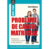 Probleme de calcul matriceal, Florin Stanescu, cartea romaneasca