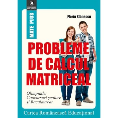 Probleme de calcul matriceal, Florin Stanescu foto