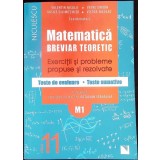 MATEMATICA BREVIAR TEORETIC - EXERCITII SI PROBLEME PROPUSE SI REZOLVATE, CLASA A XI-A (M1)-VALENTIN NICULA-347223