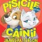 Pisicile Adora Cainii, James Petterson, Chris Grabenstein - Editura Corint