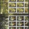 20111, LP 1899c-Europa 2011, Paduri-set 2 minicoli 6 timbre si 3 tabs, MNH