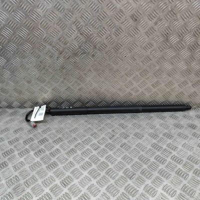 Amortizor haion dreapta FORD PUMA J2K, CF7 2020 OEM: L1TB-S404C84-AA 22152215 foto