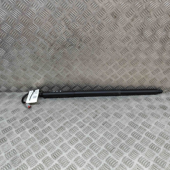 Amortizor haion dreapta FORD PUMA J2K, CF7 2020 OEM: L1TB-S404C84-AA 22152215