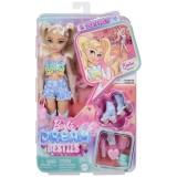 BARBIE DREAM BESTIES PAPUSA BARBIE PETRECERE PE ROLE