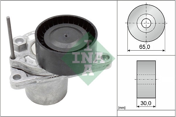 INA 534 0624 10 Intinzator curea, curea distributie