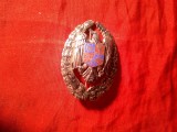 Insigna Academia Militara - Romania Tehnic , cu steme , metal , h=6cm