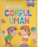 Corpul uman. Simturile