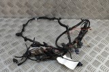 Cablaj senzor de parcare față AUDI A5 Avant 2024 OEM: 8B3971095BH | 31880024