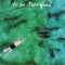 I Reserve the Right to Be Terrified: A Long Life