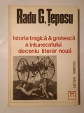Radu G. Țeposu - Istoria tragică &amp; grotescă a &icirc;ntunecatului deceniu literar nouă