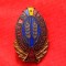 Insigna - FRUNTAS in AGRICULTURA