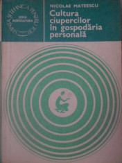 CULTURA CIUPERCILOR IN GOSPODARIA PERSONALA - NICOLAE MATEESCU foto